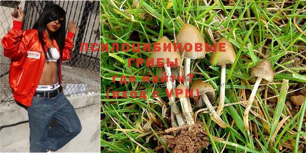 стафф Белокуриха